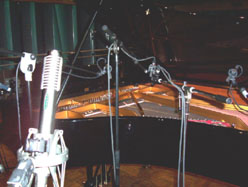 v-SRC-piano-mic-MS2.jpg